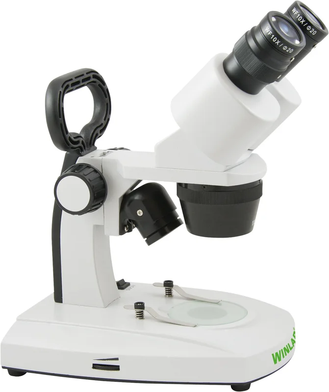 dusyma2772623