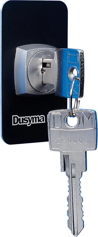 dusyma2899866