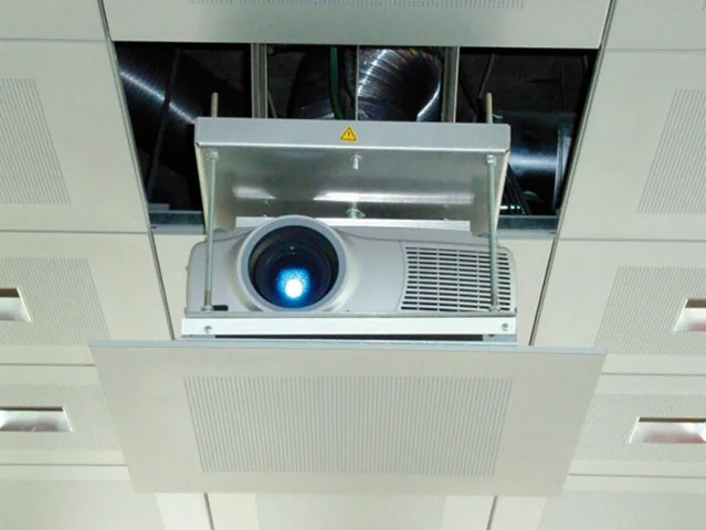 edu2482339