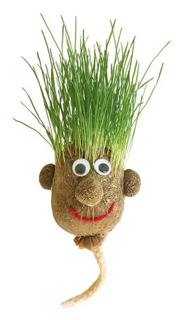 elmis-kinderwelt2765286
