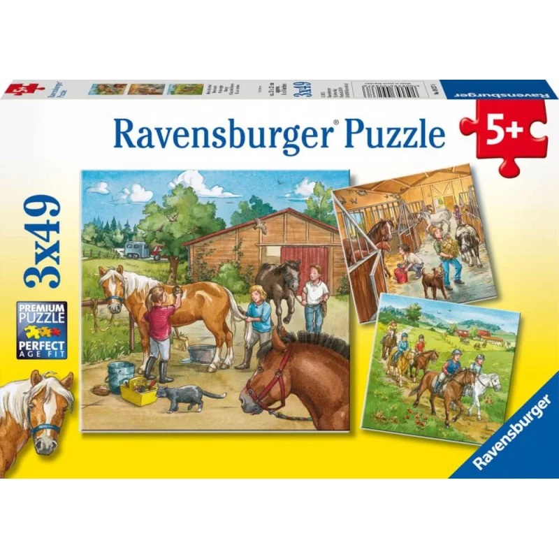ich-will-zu-nagel2437385