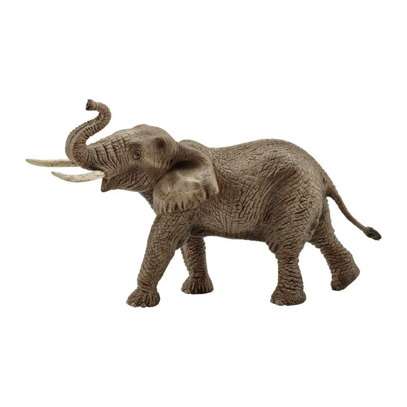 ich-will-zu-nagel2444930