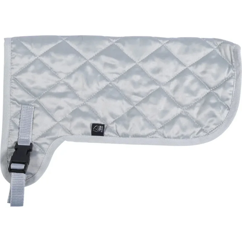 ich-will-zu-nagel2543319