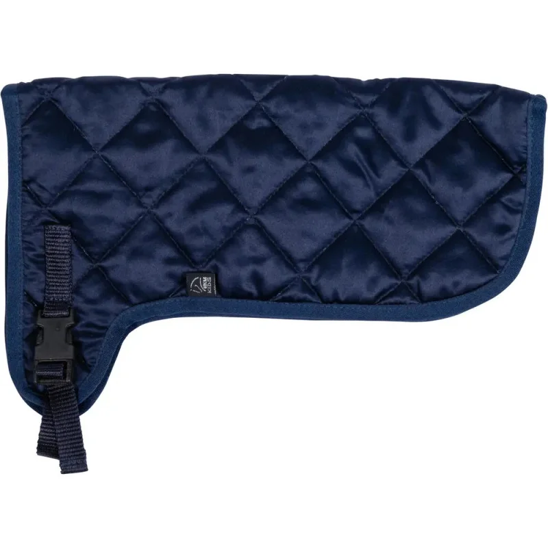 ich-will-zu-nagel2547068
