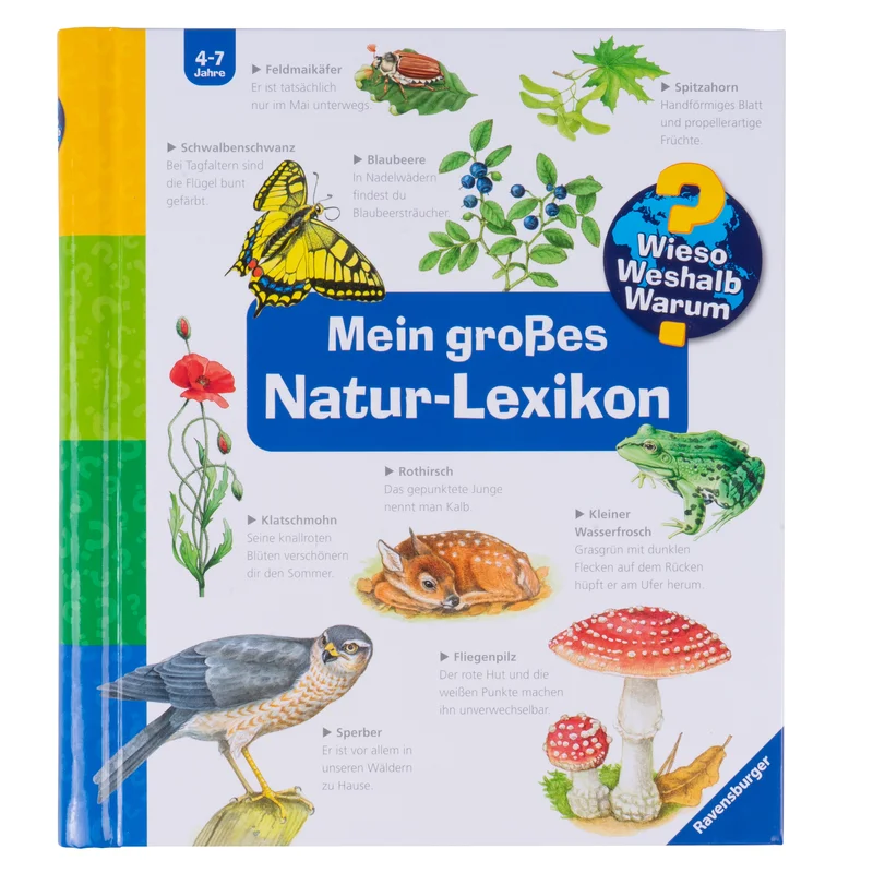 jetzt-kommt-kurth2933562
