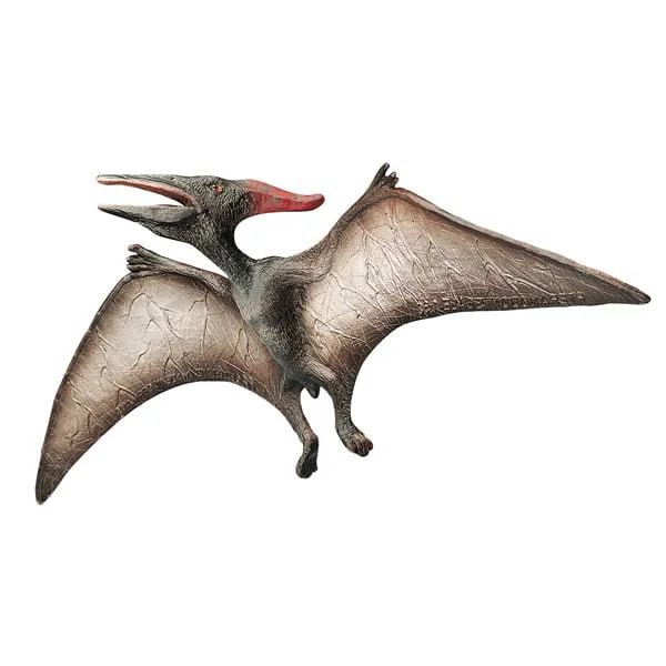kigata2629454