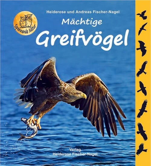 lilleberga2804690