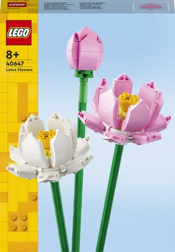 pfeifer-shop2439268