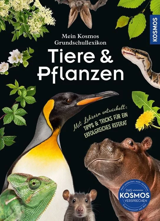 schlawiner2478441