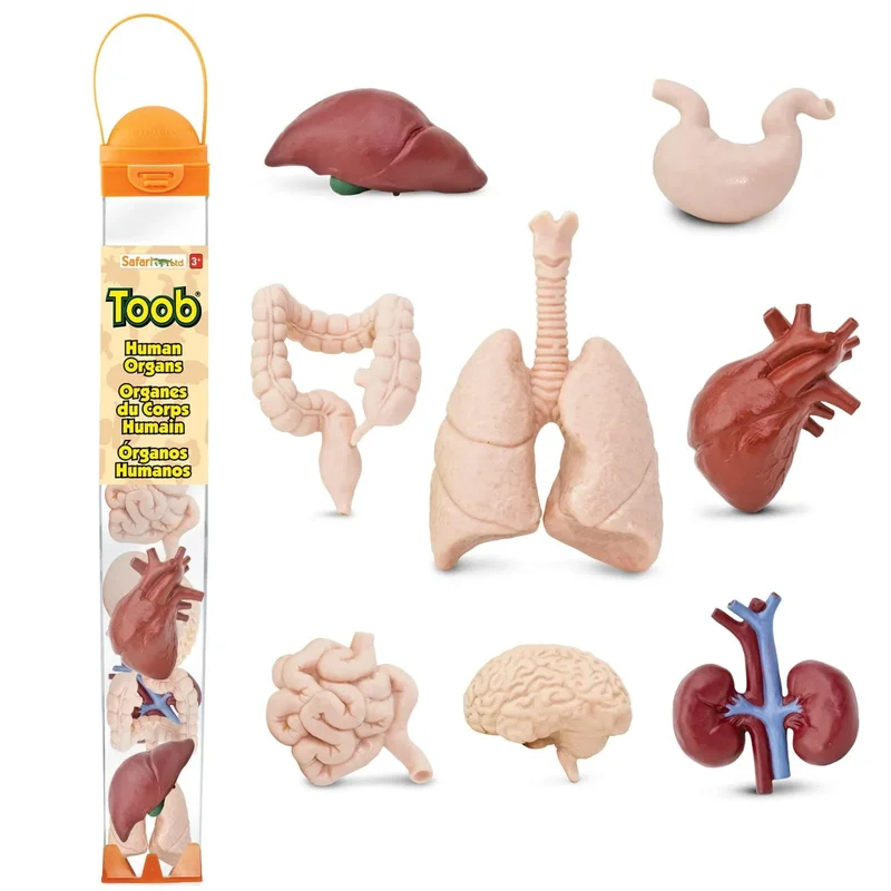 tublu2716740